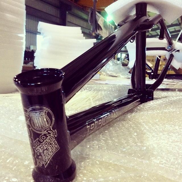 Prody Anniversary Frame by Colony