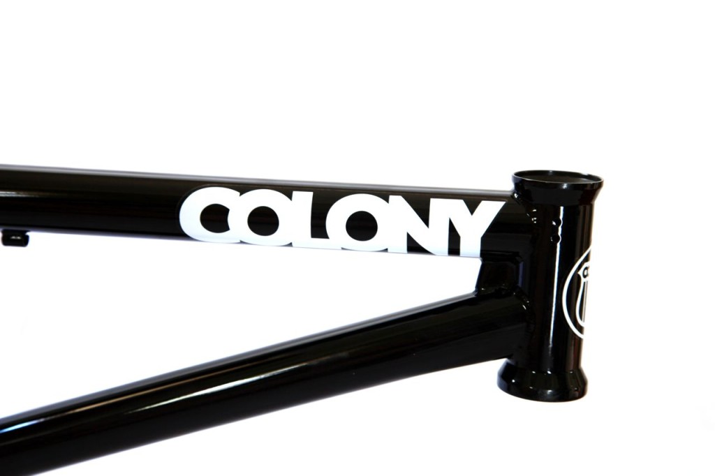 Prody Anniversary Frame by Colony