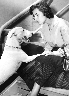 Actress Irene Papas with Wildfire, 1955