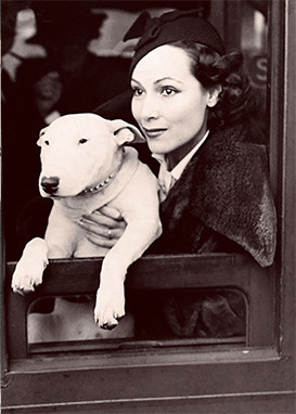 Actress Delores Del Rio with Ch. Faultless of Blighty, 1936